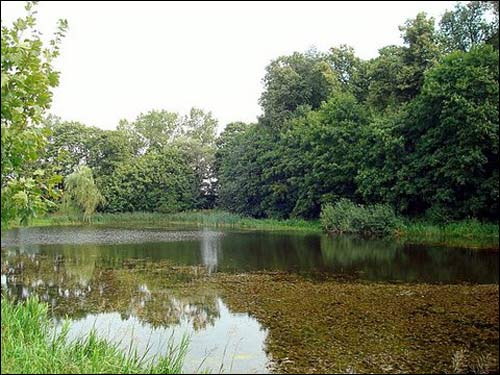 Buivydiškės. Estate 