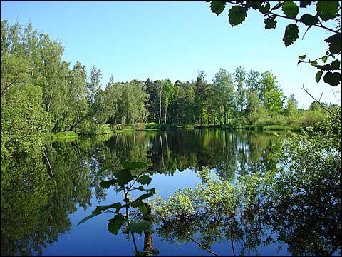 Bukiškis.  Landscapes 