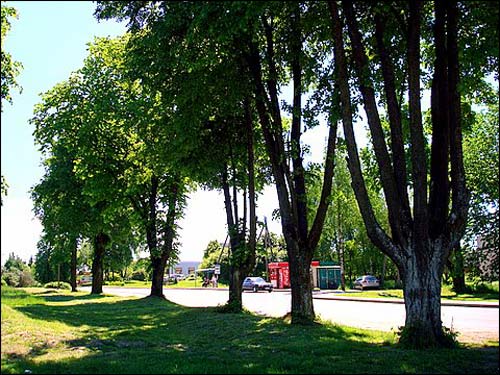 Большая Реша. Пейзажи