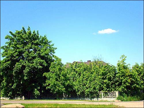 Большая Реша. Пейзажи