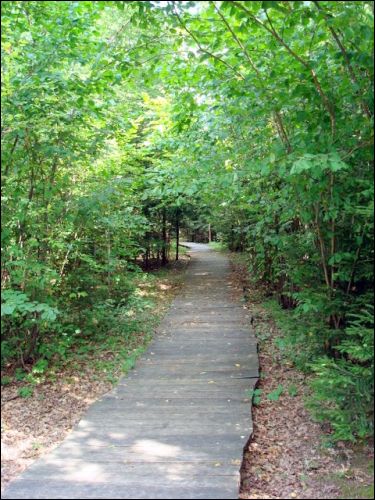 Дукшты. Краявіды