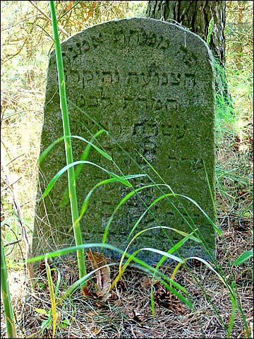 Maišiagala |  cemetery Jewish. 