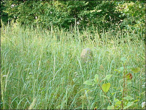  - Могілкі габрэйскія. 