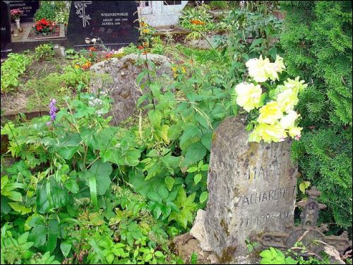 Žemieji Paneriai. cemetery Old Catholic
