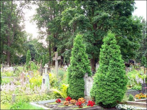 Žemieji Paneriai. cemetery Old Catholic