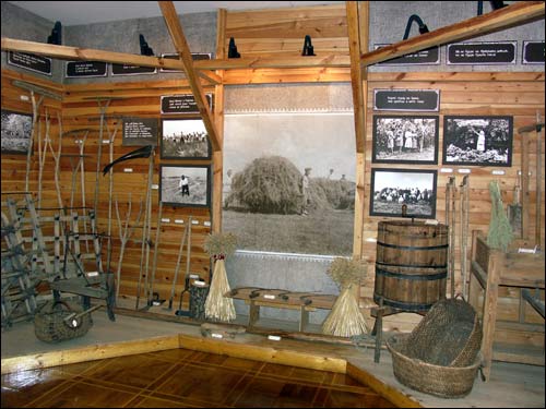  -  Museum. Exposition