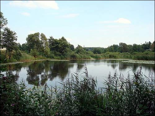 Скайдишки (Кветнево). Усадьба Бохвицев