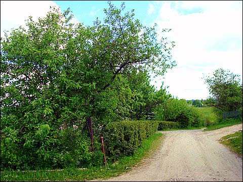 Судэрва. Краявіды 