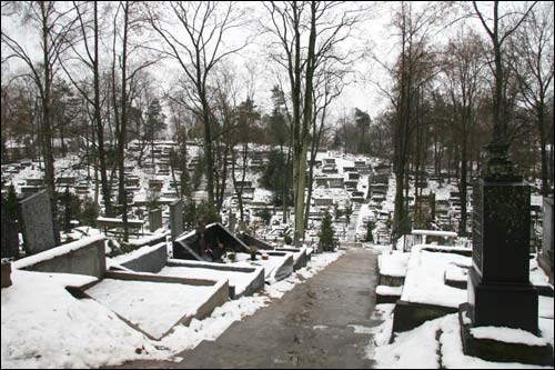  - Cmentarz na Lipówce (Eufrozynski). Widok cmentarza