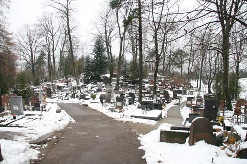  - Cmentarz na Lipówce (Eufrozynski). Widok cmentarza
