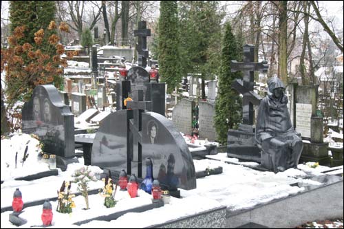  - Cmentarz na Lipówce (Eufrozynski). Cmentarz, fragment