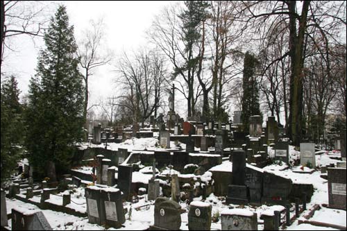  - Cmentarz na Lipówce (Eufrozynski). Cmentarz, fragment