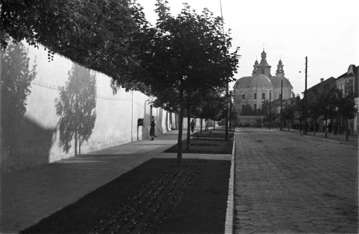 Pińsk. Miasto na starych fotografiach
