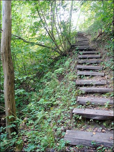 Karmazyny. Krajobrazy 