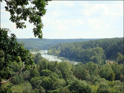 Karmazyny. Krajobrazy 