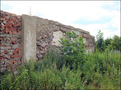 Abromiški (Abromiškės). Manor 