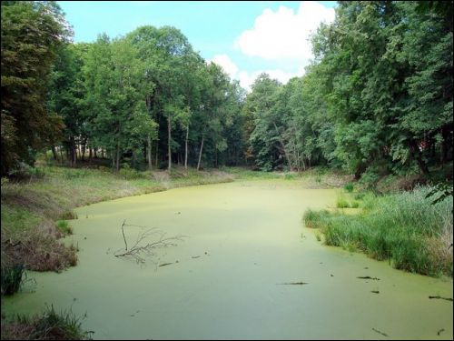 Abromiški (Abromiškės). Manor 