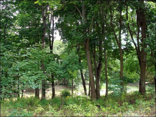 Abromiški (Abromiškės). Manor 