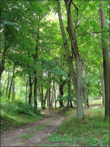 Abromiški (Abromiškės). Manor 