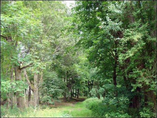 Abromiški (Abromiškės). Manor 