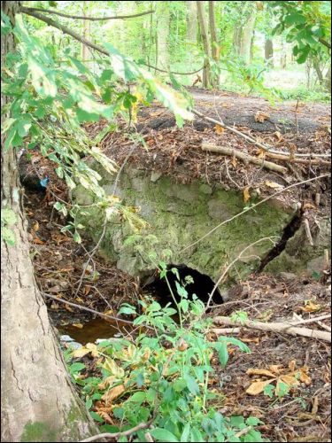 Abromiški (Abromiškės). Manor 