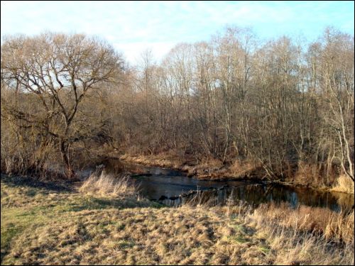 Musninkai. Landscapes 