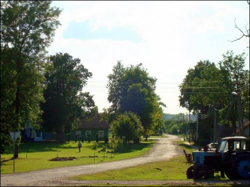 Šešuoliai. Town streets 
