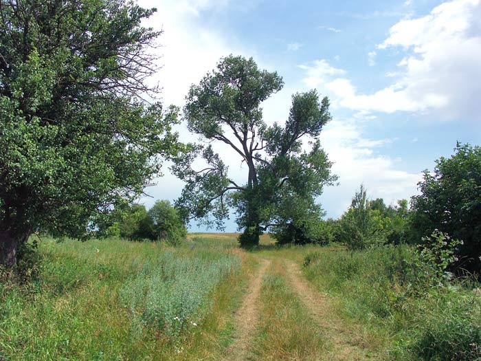 Barščeva. Landscapes 