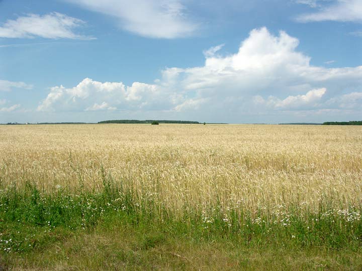 Barščeva. Landscapes 