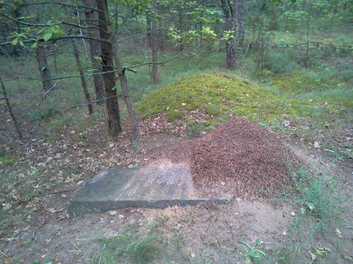 Dzieraŭnaja. In the village 