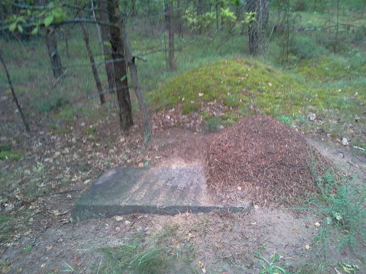 Dzieraŭnaja. In the village 