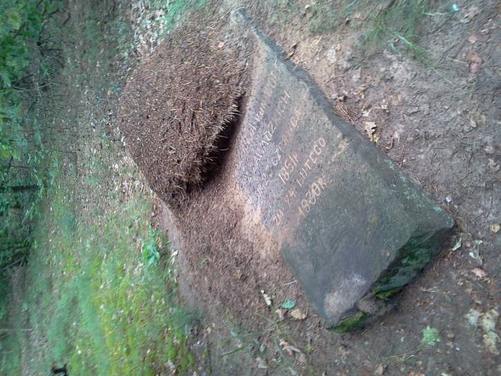 Dzieraŭnaja. In the village 