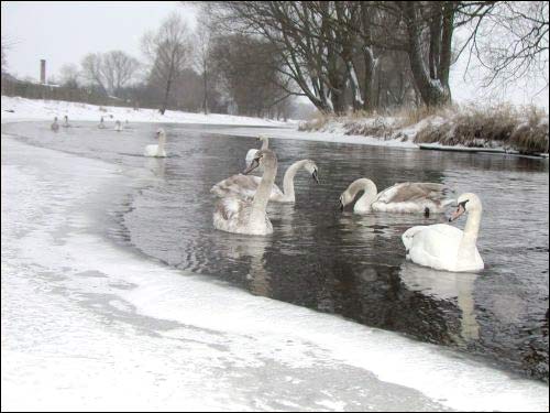Kamianiec. Landscapes 