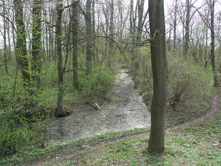 - Zespół dworsko-parkowy Rothów. Fragment parku; kanał koło altanki