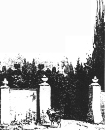 Wołczyn |  Zespół pałacowo-parkowy . 