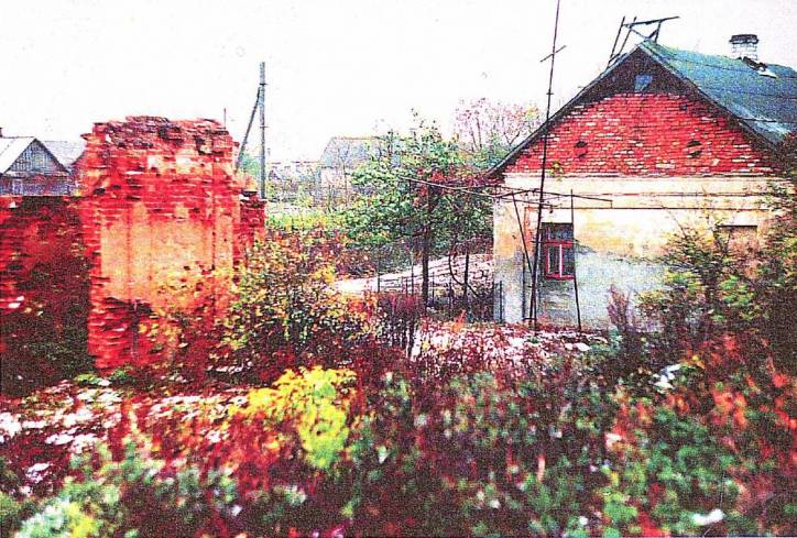 Wołczyn |  Zespół pałacowo-parkowy . 