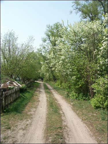 Arančycy. Manor of Laženski (Leżeński)