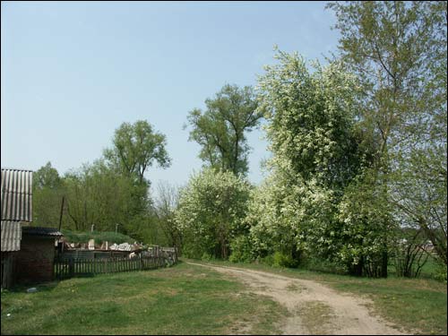 Arančycy. Manor of Laženski (Leżeński)