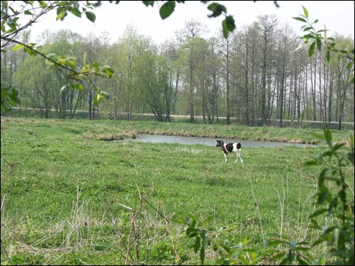 Arančycy. Manor of Laženski (Leżeński)