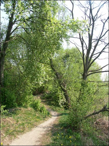 Arančycy. Manor of Laženski (Leżeński)