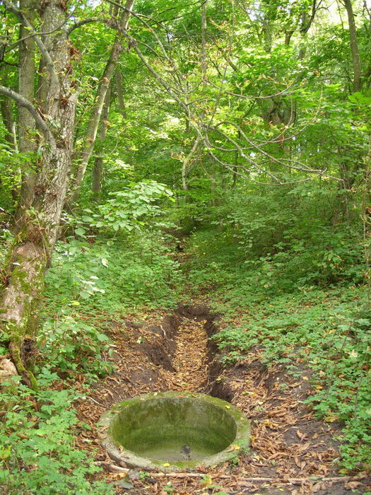 Peliszcze. Park dworski Hutowskich