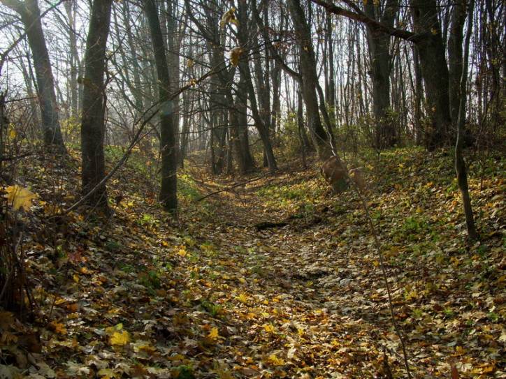 Peliszcze. Park dworski Hutowskich