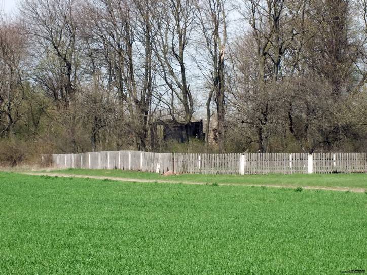  - Царква Покрыва Прасвятой Багародзіцы. Сюлки (церковь Покровская) 