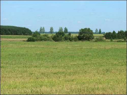 Сюлкі.  Краявіды 