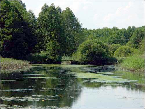 Sviščova. Manor park of the Bylczyński former Manor-place