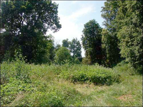Sviščova. Manor park of the Bylczyński former Manor-place