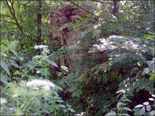 Sviščova. Manor park of the Bylczyński former Manor-place