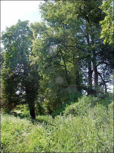 Sviščova. Manor park of the Bylczyński former Manor-place