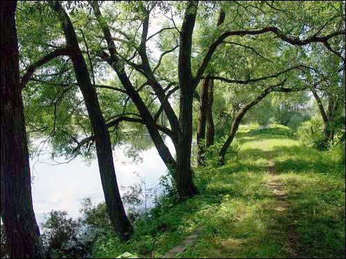 Sviščova. Manor park of the Bylczyński former Manor-place