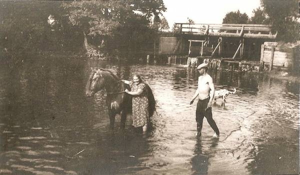 Centralnaja (Halimščyna). Farmstead 